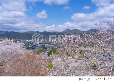 京都　法輪寺の見晴台から渡月橋と桜に包まれた嵯峨野を一望 125381927
