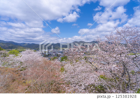 京都　法輪寺の見晴台から渡月橋と桜に包まれた嵯峨野を一望 125381928
