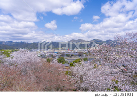 京都　法輪寺の見晴台から渡月橋と桜に包まれた嵯峨野を一望 125381931