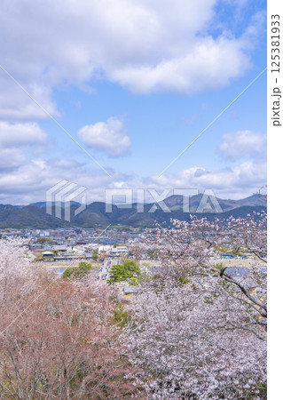 京都 法輪寺の見晴台から渡月橋と桜に包まれた嵯峨野を一望 京都 法輪寺の見晴台から渡月橋と桜に包まれた嵯峨野を一望 125381933