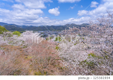 京都　法輪寺の見晴台から渡月橋と桜に包まれた嵯峨野を一望 125381934