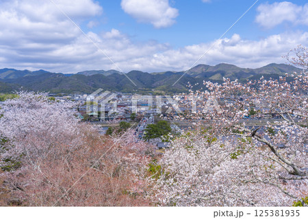 京都 法輪寺の見晴台から渡月橋と桜に包まれた嵯峨野を一望 京都 法輪寺の見晴台から渡月橋と桜に包まれた嵯峨野を一望 125381935