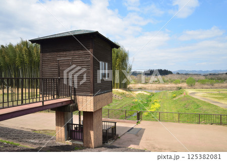 辰ノ口親水公園　2025-4-12　＃5 125382081