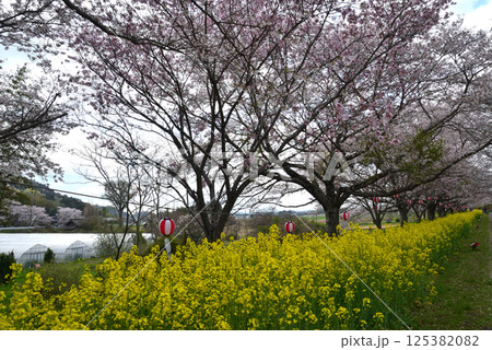 辰ノ口親水公園 2025-4-12 #6 辰ノ口親水公園 2025-4-12 #6 125382082