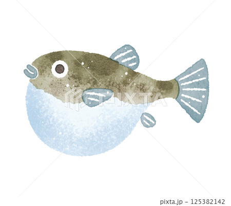 ふぐ　フグ　魚　水彩イラスト 125382142