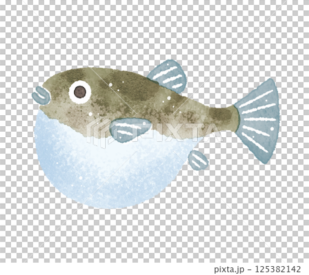 Fugu puffer fish watercolor illustration Fugu puffer fish watercolor illustration 125382142