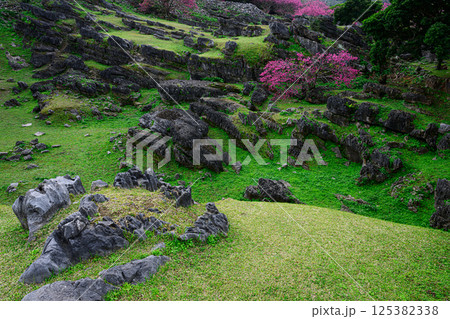 今帰仁城跡　世界遺産 125382338