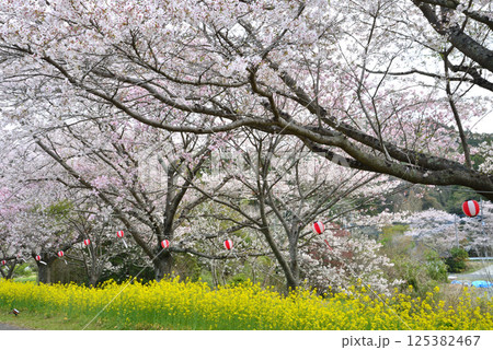 辰ノ口親水公園 2025-4-12 #11 辰ノ口親水公園 2025-4-12 #11 125382467