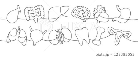 Organs set one line continuous drawing. Heart, kidneys, gallbladder, intestines, tooth, brain, lungs, stomach, liver, hand, nose, bone, ear, bladder 125383053
