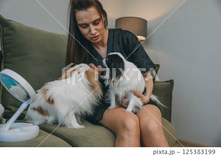 woman and her fluffy dogs Japanese chin, cozy home environment, complete with personal grooming items woman and her fluffy dogs Japanese chin, cozy home environment, complete with personal grooming items 125383199