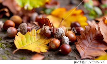 Natural Textures of Leaves Soil and Acorns Natural Textures of Leaves Soil and Acorns 125385174