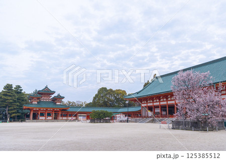 平安神宮 外拝殿と満開の左近の桜 平安神宮 外拝殿と満開の左近の桜 125385512
