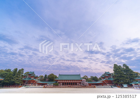 平安神宮　外拝殿と満開の左近の桜 125385517