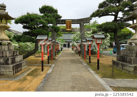 岡湊神社のなんじゃもんじゃの木 125385542