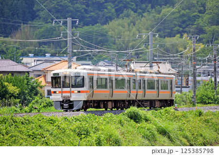 身延線　鰍沢口ー市川大門　JR東海　313系　V1編成（静岡） 125385798