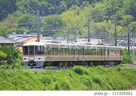 身延線　鰍沢口ー市川大門　JR東海　373系　F10編成（静岡）　ふじかわ 125385801