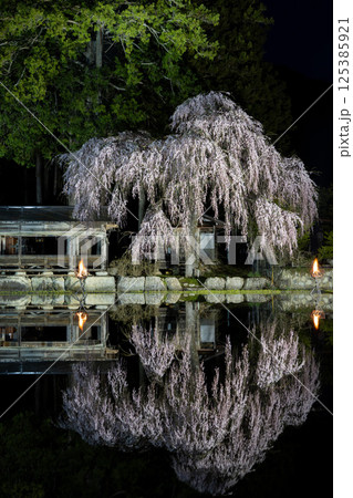 飛騨高山・青屋神明神社 夜桜ライトアップと水田への映り込み 飛騨高山・青屋神明神社 夜桜ライトアップと水田への映り込み 125385921