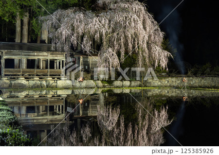 飛騨高山・青屋神明神社 夜桜ライトアップと水田への映り込み 飛騨高山・青屋神明神社 夜桜ライトアップと水田への映り込み 125385926