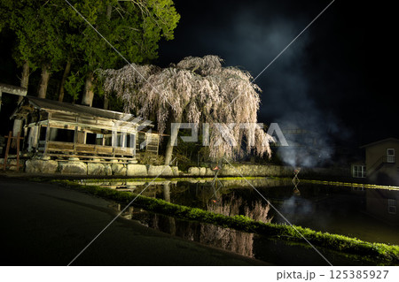 飛騨高山・青屋神明神社 夜桜ライトアップと篝火、水田への映り込み 飛騨高山・青屋神明神社 夜桜ライトアップと篝火、水田への映り込み 125385927