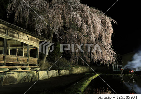 飛騨高山・青屋神明神社　夜桜ライトアップと篝火、水田への映り込み 125385931