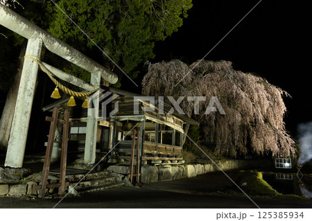 飛騨高山・青屋神明神社　夜桜ライトアップと水田への映り込み 125385934