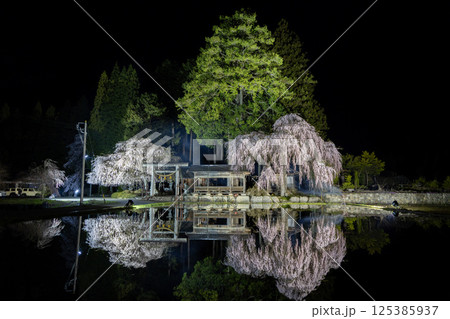 飛騨高山・青屋神明神社 夜桜ライトアップと水田への映り込み 飛騨高山・青屋神明神社 夜桜ライトアップと水田への映り込み 125385937