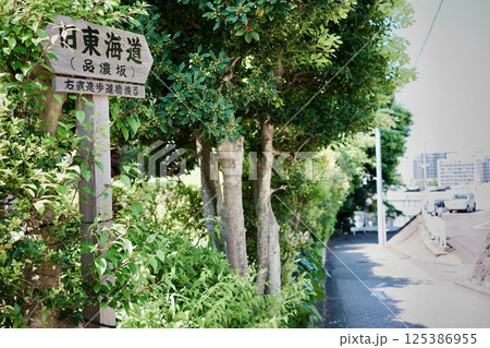 東海道五十三次・保土ヶ谷宿品濃坂 125386955