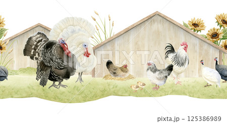Turkeys, rooster, chicken hen and baby chicks watercolor isolated seamless border. Poultry yard birds in wooden coop on grass with sunflowers for fall farm animals designs and Thanksgiving Day cards Turkeys, rooster, chicken hen and baby chicks watercolor isolated seamless border. Poultry yard birds in wooden coop on grass with sunflowers for fall farm animals designs and Thanksgiving Day cards 125386989