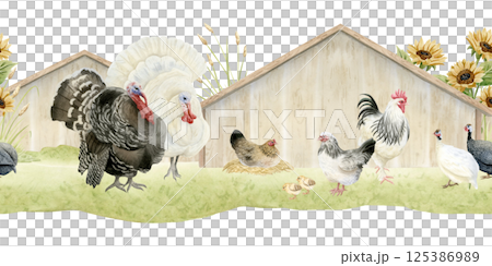 Turkeys, rooster, chicken hen and baby chicks watercolor isolated seamless border. Poultry yard birds in wooden coop on grass with sunflowers for fall farm animals designs and Thanksgiving Day cards Turkeys, rooster, chicken hen and baby chicks watercolor isolated seamless border. Poultry yard birds in wooden coop on grass with sunflowers for fall farm animals designs and Thanksgiving Day cards 125386989