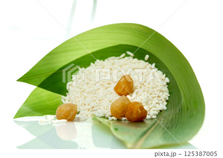 剥製 詰め物 詰める 125387005