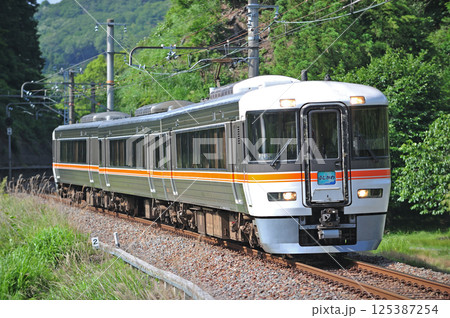 身延線　身延－甲斐大島　JR東海　373系　F11編成（静岡）　ふじかわ 125387254