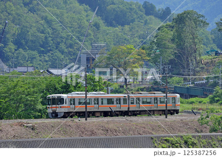 身延線　波高島ー下部温泉　JR東海　313系　V13編成（静岡） 125387256