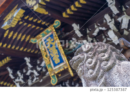 初夏の京都　北野天満宮　三光門と狛犬 125387387