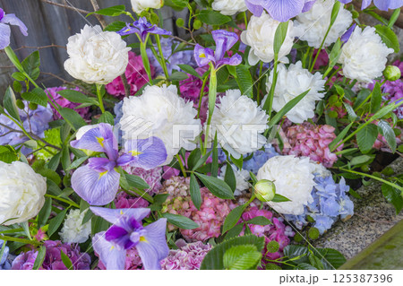 初夏の京都　北野天満宮の花手水 125387396