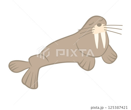 Vector isolated illustration of a walrus on a white background. Vector isolated illustration of a walrus on a white background. 125387421