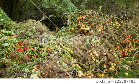 Compost vegetable bio farm autumn rotten tomato pepper lettuce cabbage pile mold fungi ecology farming waste food organic rot rust vegetables plant Europe Compost vegetable bio farm autumn rotten tomato pepper lettuce cabbage pile mold fungi ecology farming waste food organic rot rust vegetables plant Europe 125387483