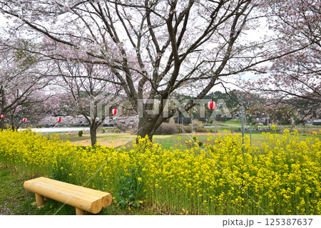 辰ノ口親水公園 2025-4-12 #34 辰ノ口親水公園 2025-4-12 #34 125387637