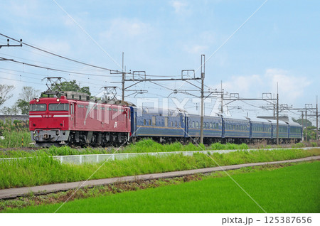 東北本線 栗橋-東鷲宮 JR東日本 EF81-81(田端)+24系(尾久) 黒磯訓練 東北本線 栗橋-東鷲宮 JR東日本 EF81-81(田端)+24系(尾久) 黒磯訓練 125387656