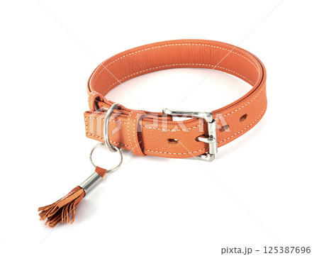 leather collar in studio 125387696