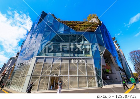 東京　渋谷区の都市風景　神宮前交差点　東急プラザ原宿「ハラカド」 125387715