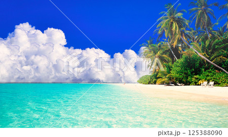 インド洋の美しいサンゴ礁の海 125388090