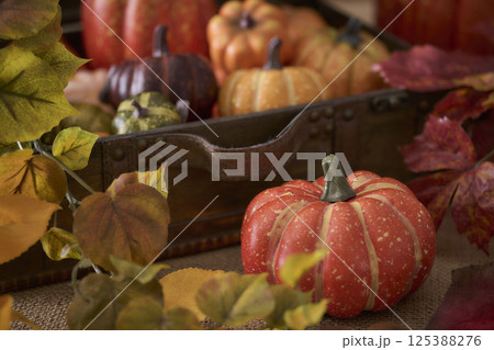 古いトランクに詰められたカボチャ　ハロウィンイメージ 125388276