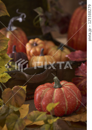 古いトランクに詰められたカボチャ　ハロウィンイメージ 125388279