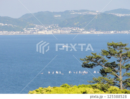 湘南の海 125388528
