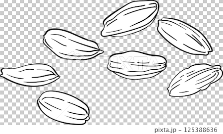 Carrot Seeds Outline Illustration. 125388636