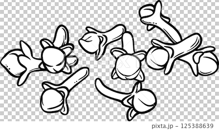 Clove Seeds Outline Illustration. Organic natural nutritional spice. 125388639