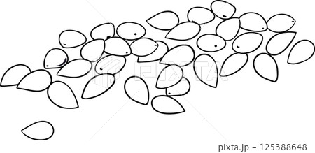 Sesame Seeds Outline Illustration. 125388648