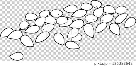 Sesame Seeds Outline Illustration. 125388648