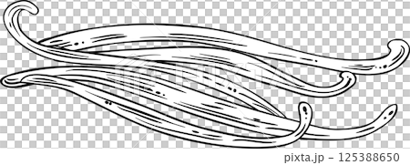 Vanilla Sticks Isolated Outline Illustration 125388650