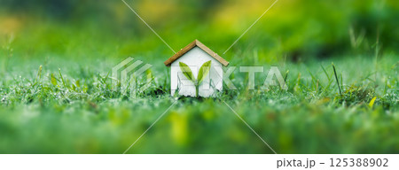 Home Improvement concept, Home Energy Efficiency, Eco-Friendly Home Improvement, Cost Savings and Green Energy Costs. Green Building for Sustainable Development. 125388902